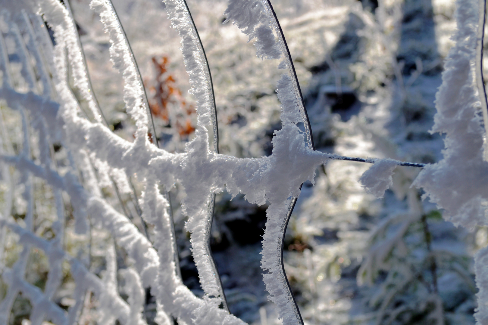 ... mit Schneekristallen umzäunt