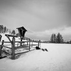 Mit Schneeschuh im Wintersturm