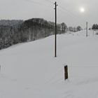 mit Schneeschuhen auf den Belchen