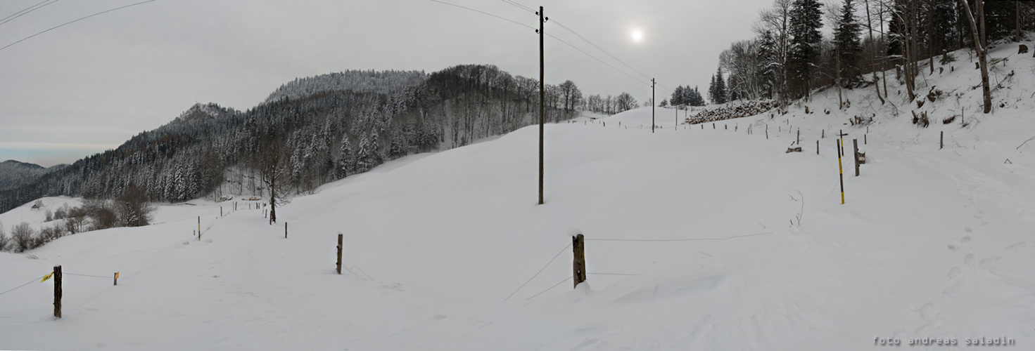 mit Schneeschuhen auf den Belchen