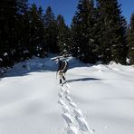 Mit Schneeschuhen und Gleitschirm im Tiefschnee spuren...