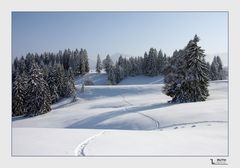 mit Schneeschuhen unterwegs