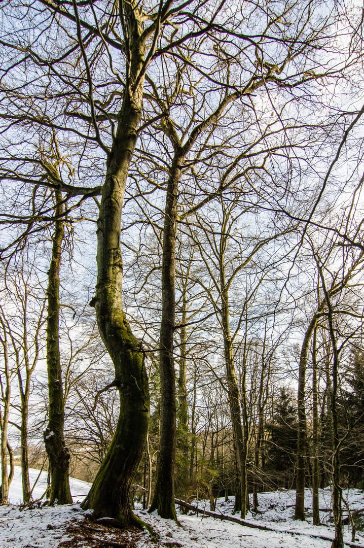 Mit Schwung gen Himmel