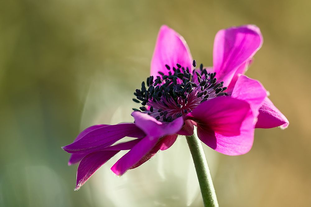 Mit Schwung in den Frühling