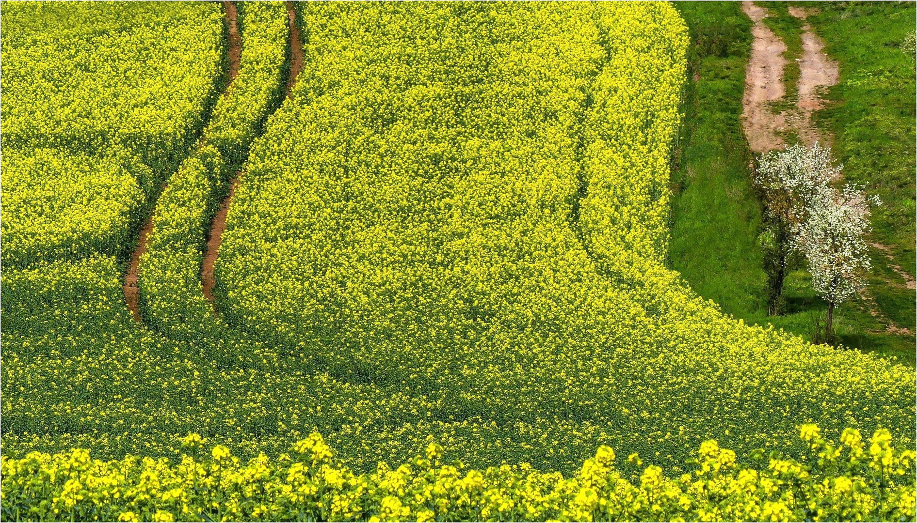 Mit Schwung in den Frühling