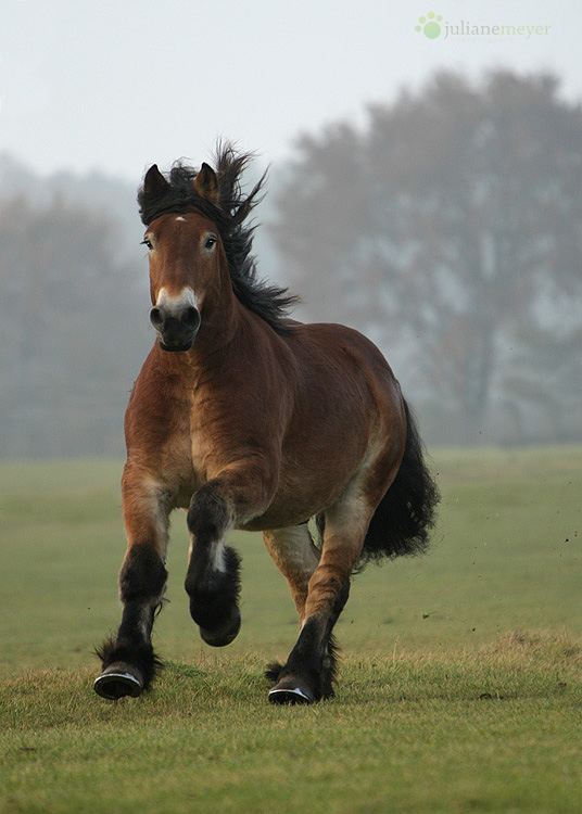 Mit Schwung ins Wochenende :-)