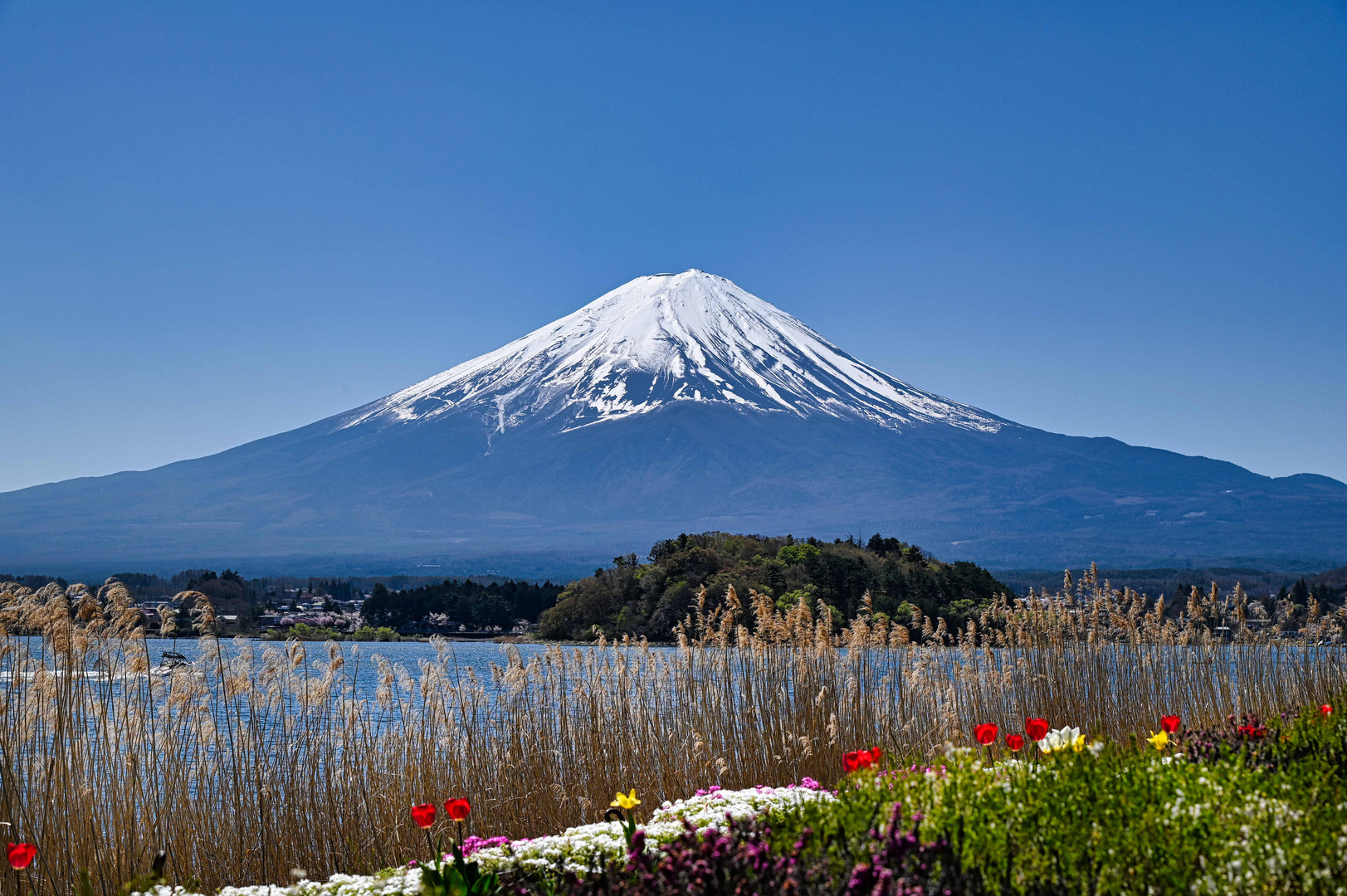 Mit seinen 3776 Metern ist der Berg Fuji  der höchste Gipfel Japans.