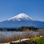 Mit seinen 3776 Metern ist der Berg Fuji  der höchste Gipfel Japans.