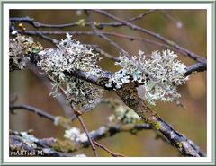 Mit Silberschmuck  (mit Gedicht)