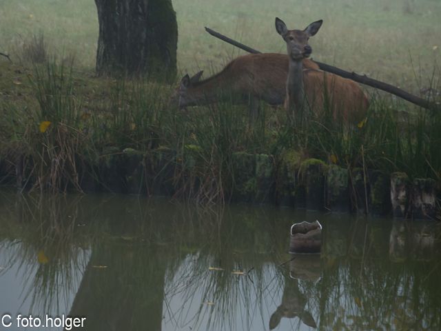 mit Spiegelung :-)