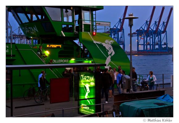 Mit Tarzan zu den Landungsbrücken