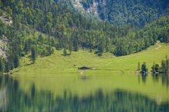 Mit Tele auf die Alm