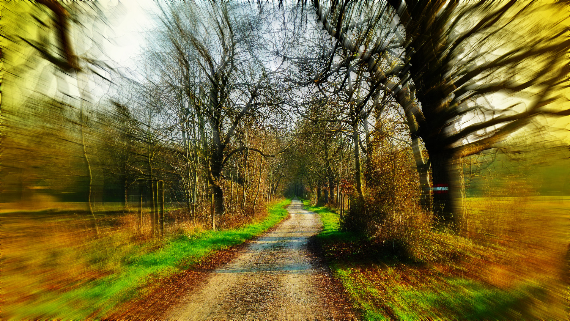 Mit Tempo dem Wald entgegen