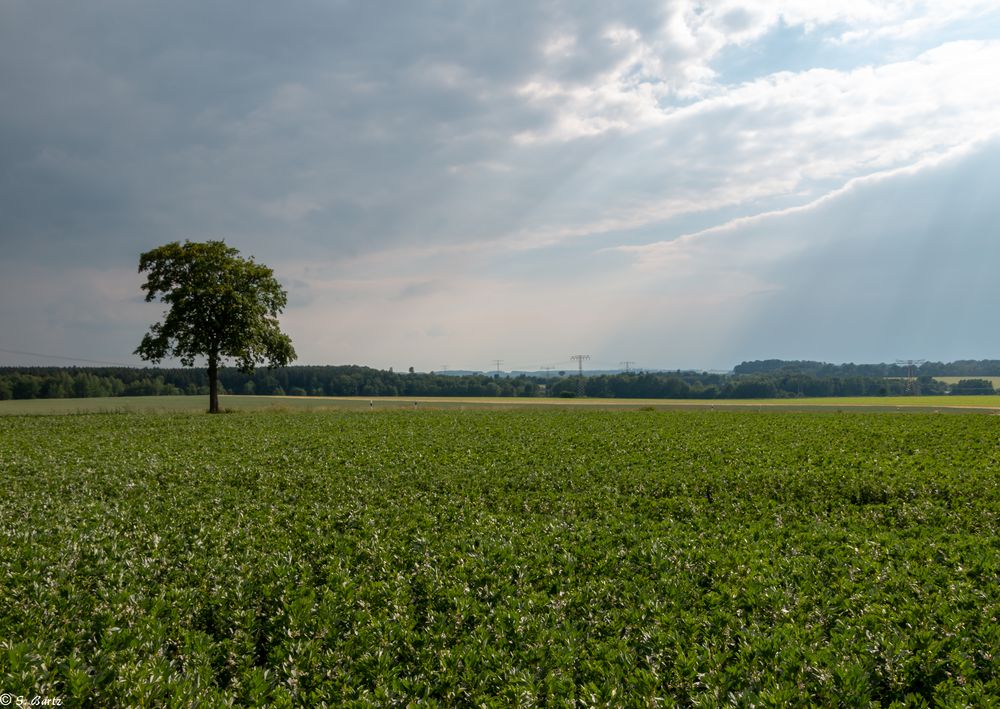 Mit Überblick (2)