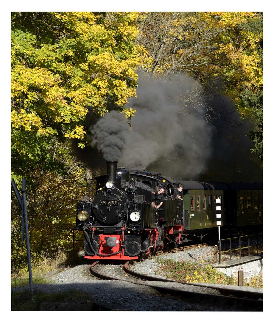 Mit vereinten Kräften durch den herbstlichen Wald