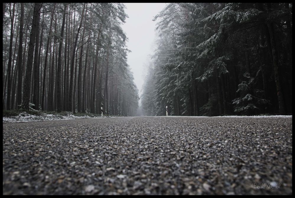 mit viel Schwarz und Weiß auf dem Holzweg