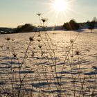 Mit viel Sonne in den Schnee