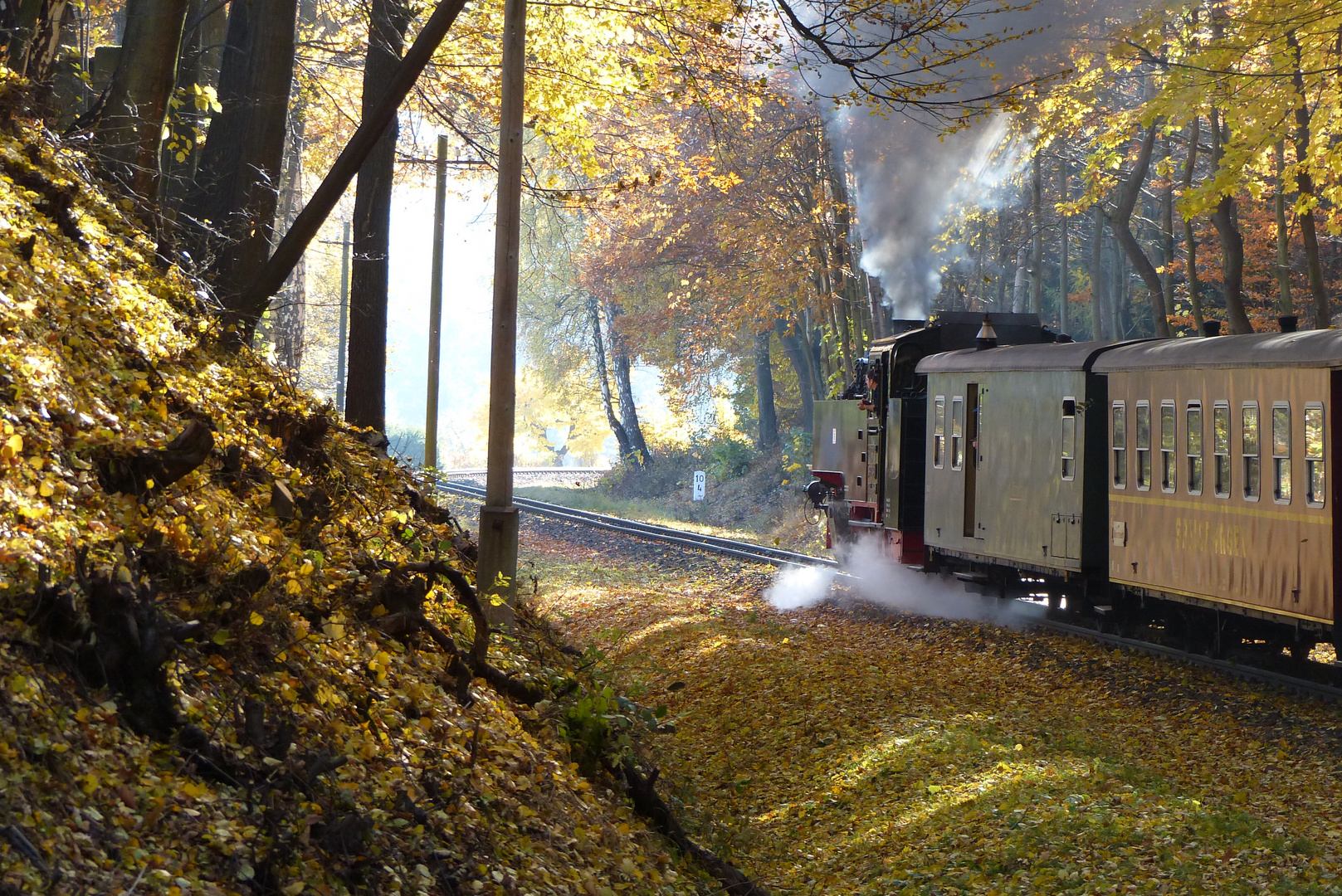 Mit Vollampf ins Zittauer Gebirge