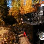 Mit Volldampf durch den Goldenen Herbst im Selketal.