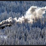 Mit Volldampf durch den Harz