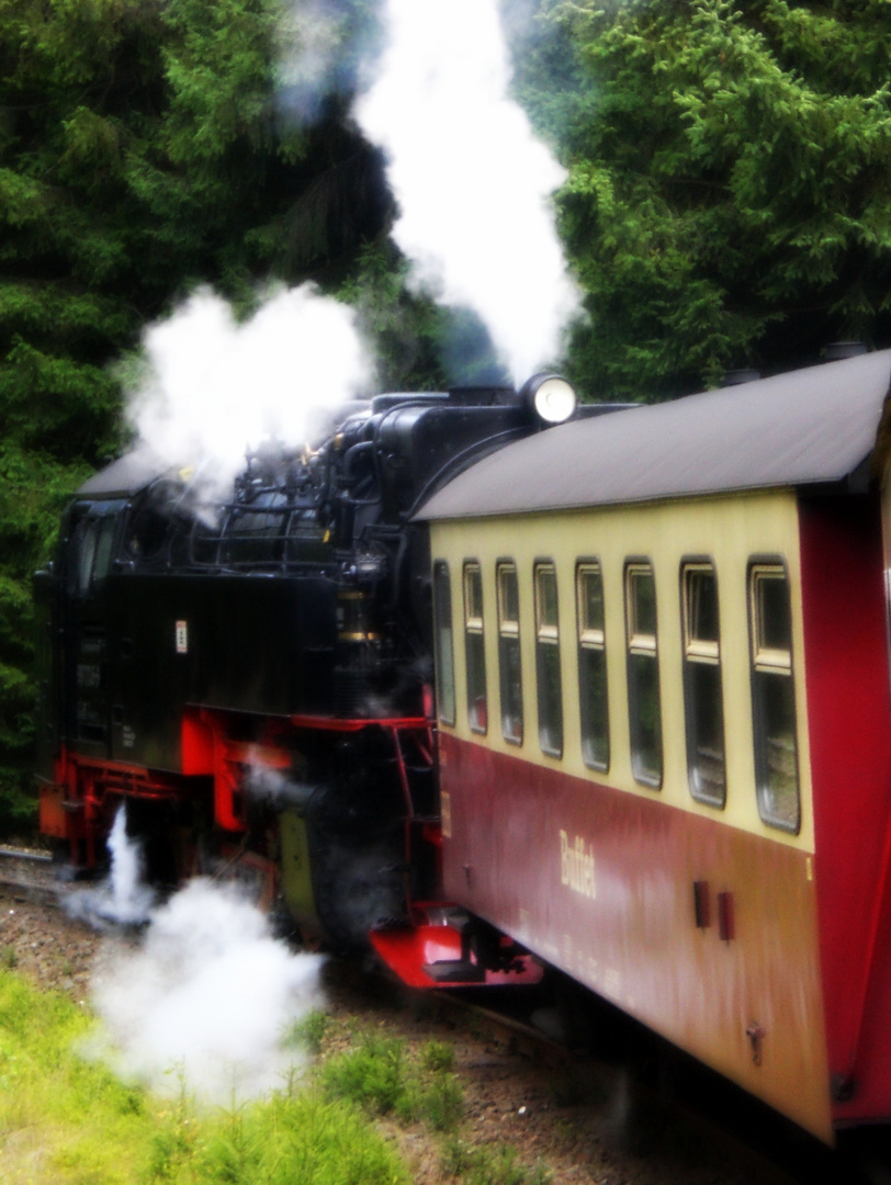 . . . mit Volldampf durch den Harz