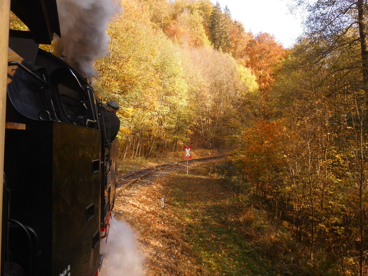 Mit Volldampf durch den Südharzer Herbst.