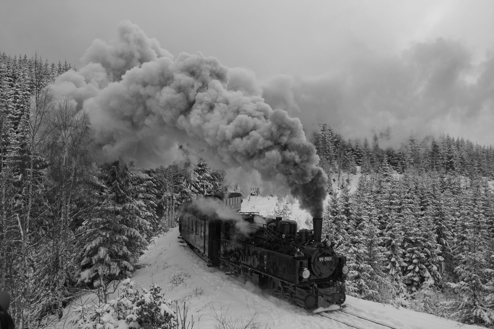 Mit Volldampf durch den winterlichen Harz ...