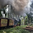 Mit Volldampf hoch auf den Brocken