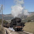 Mit Volldampf in die neue Woche 007-Italien-FS-741_320 bei Olang im Pustertal/Südtirol