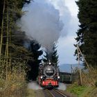 mit Volldampf in Richtung Fichtelberg