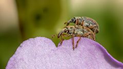 "Mit Volldampf ins Neue Jahr!"