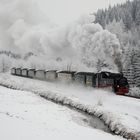 Mit Volldampf nach Oberwiesenthal