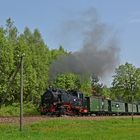 Mit Volldampf nach Oberwiesenthal