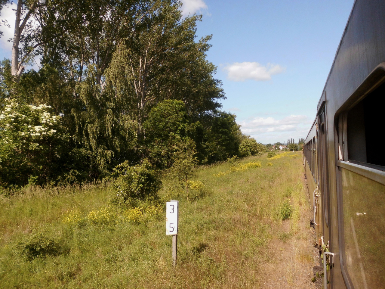 Mit Volldampf nach Sondershausen zum Bahnhofsfest 2.