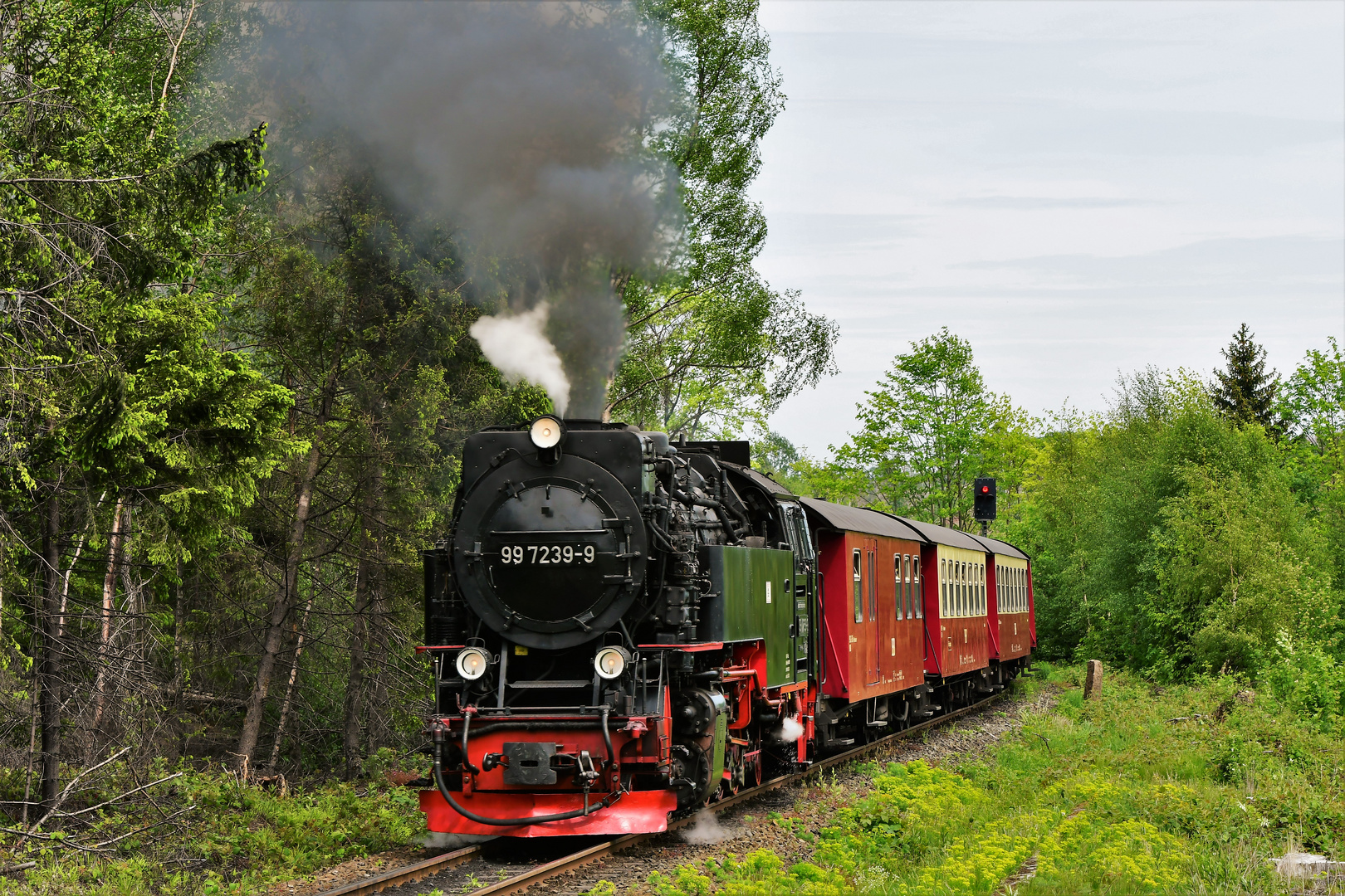 Mit Volldampf Richtung Brocken