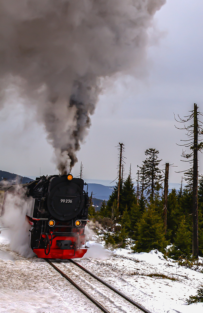 Mit Volldampf zum Brocken