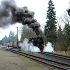 Mit Volldampf zum Gipfel des Brockens ( Harz) -1