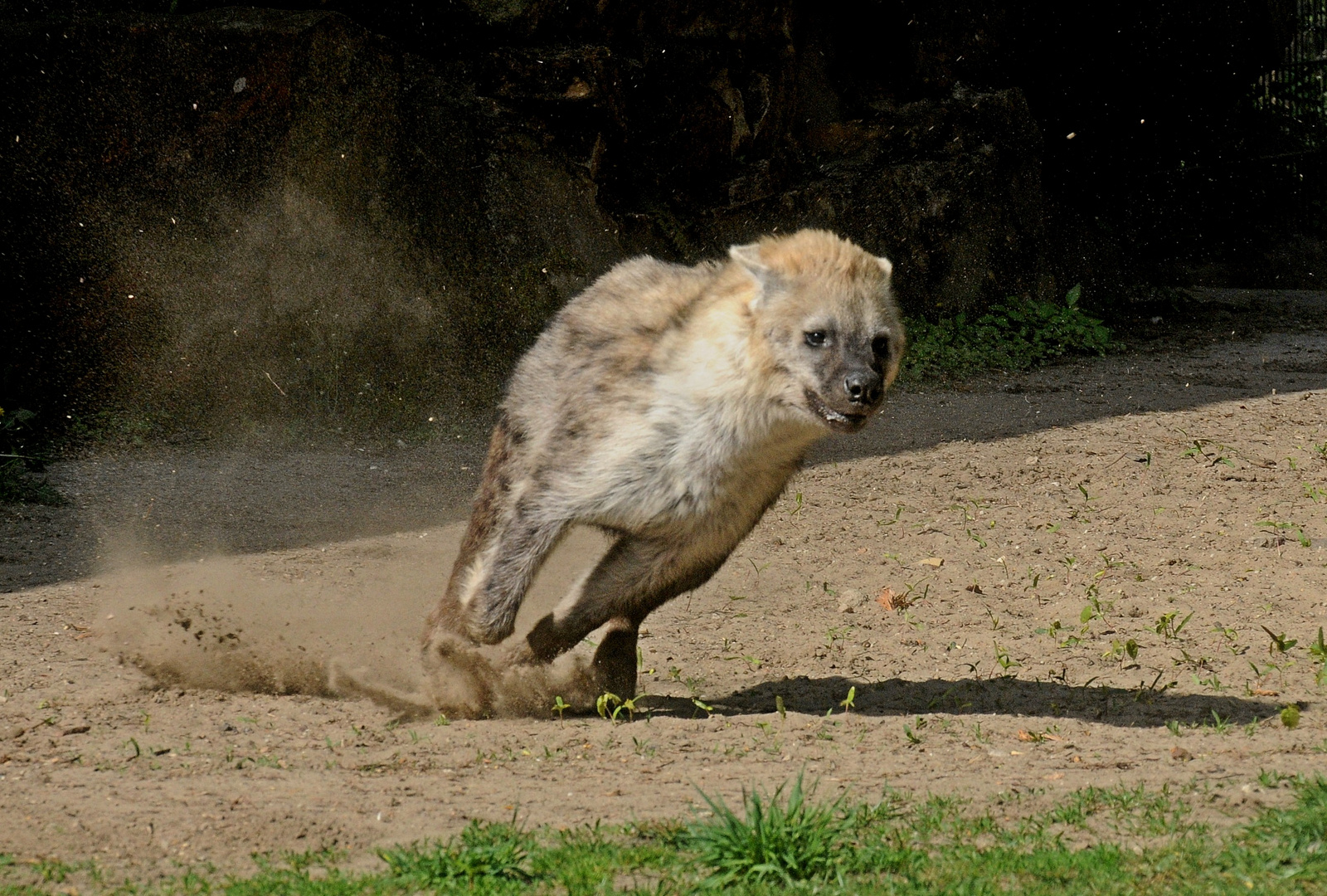 Mit vollem Speed in die Kurve