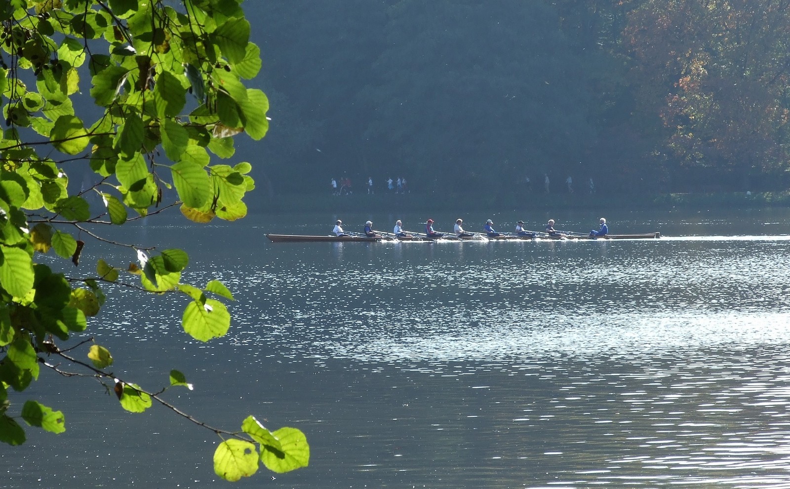 Mit voller Kraft durch den Herbst 