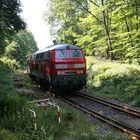 Mit voller Kraft durch den Wald- Steilstrecke Boppard- Emmelshausen