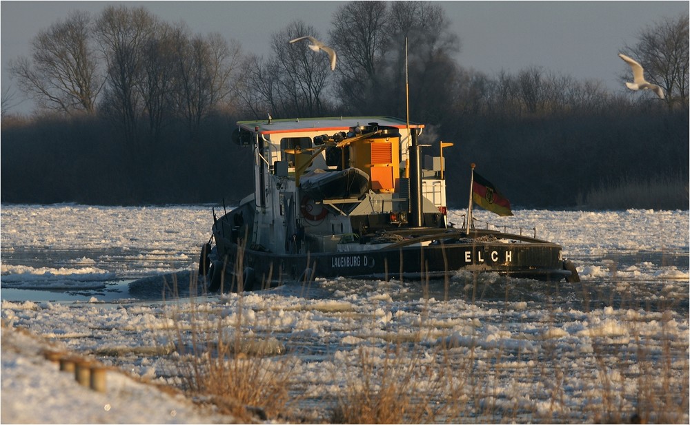 Mit voller Kraft in den Strom