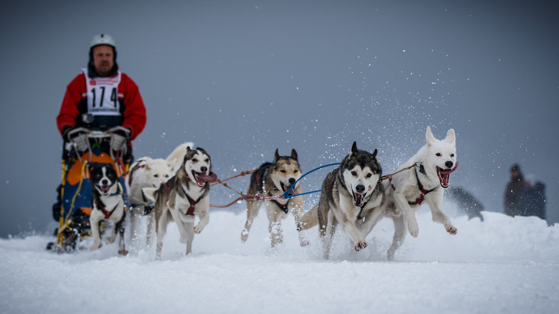 Mit Vollgas durch den Schnee