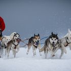 Mit Vollgas durch den Schnee