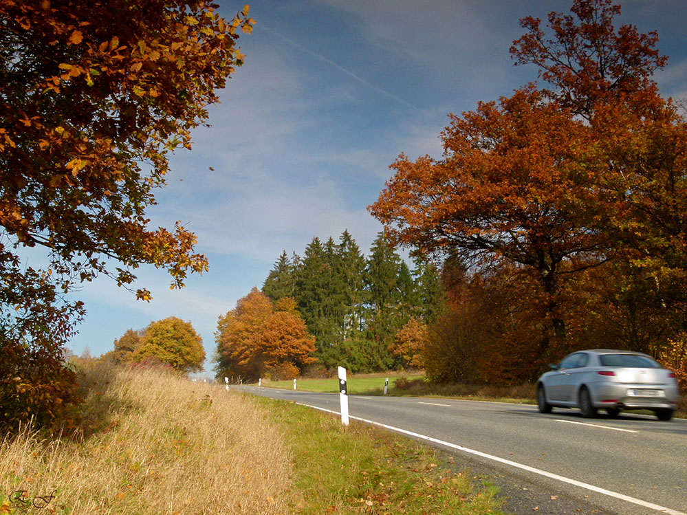 Mit Vollgas durch den schönen Herbst