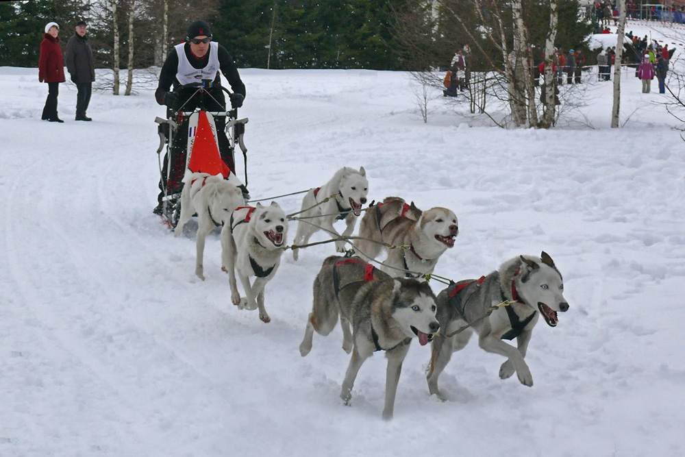 Mit Vollspeed auf dem Trail