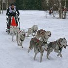 Mit Vollspeed auf dem Trail