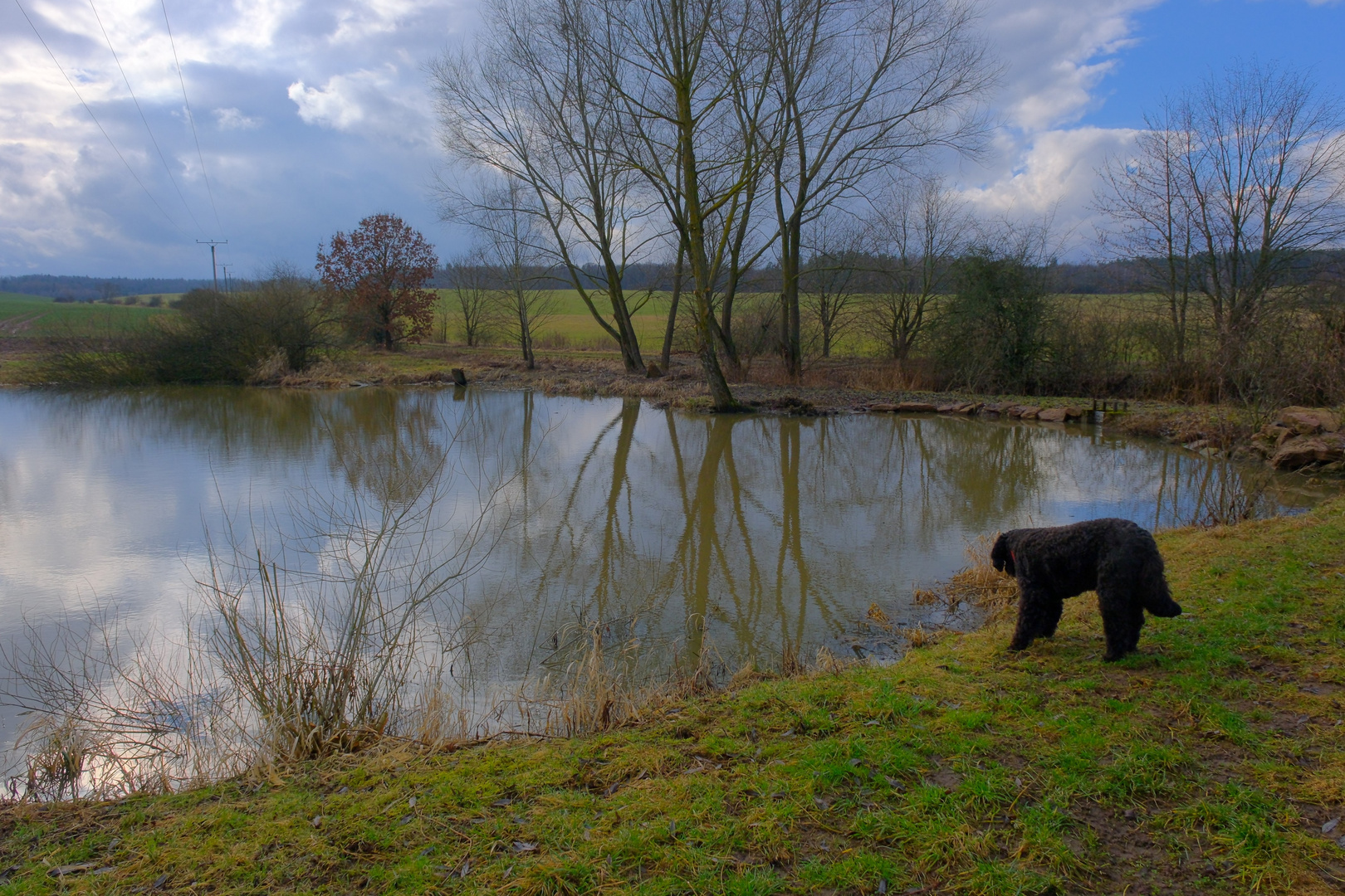 mit Wicky-Emily am See