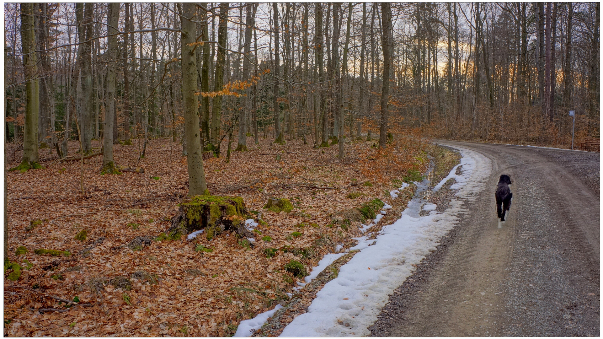 Mit Wicky-Emily durch den Wald (pasando con Wicky-Emily por el bosque)