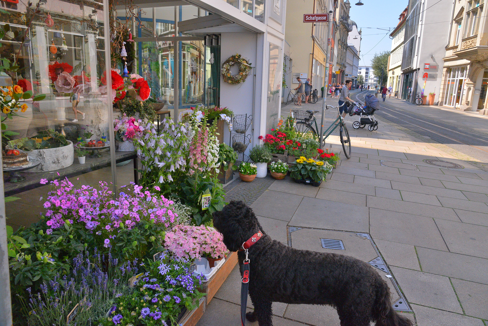 mit Wicky-Emily in Erfurt, 1 (con Wicky-Emily en Erfurt, 1)