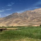 Mit Wikinger Reisen ins Tal der Glückseligen